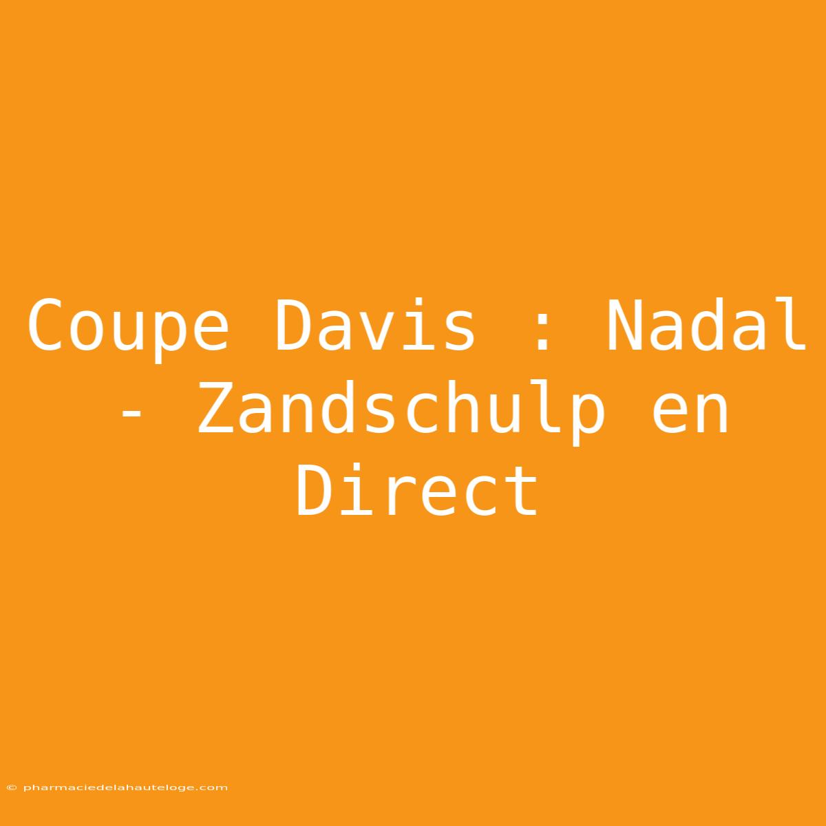 Coupe Davis : Nadal - Zandschulp En Direct