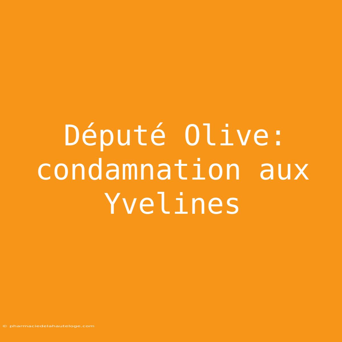 Député Olive: Condamnation Aux Yvelines