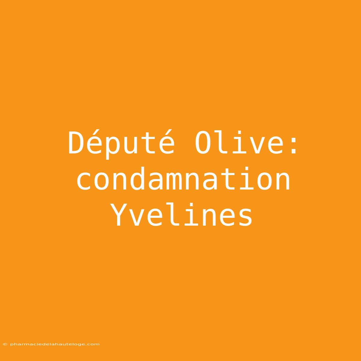 Député Olive: Condamnation Yvelines