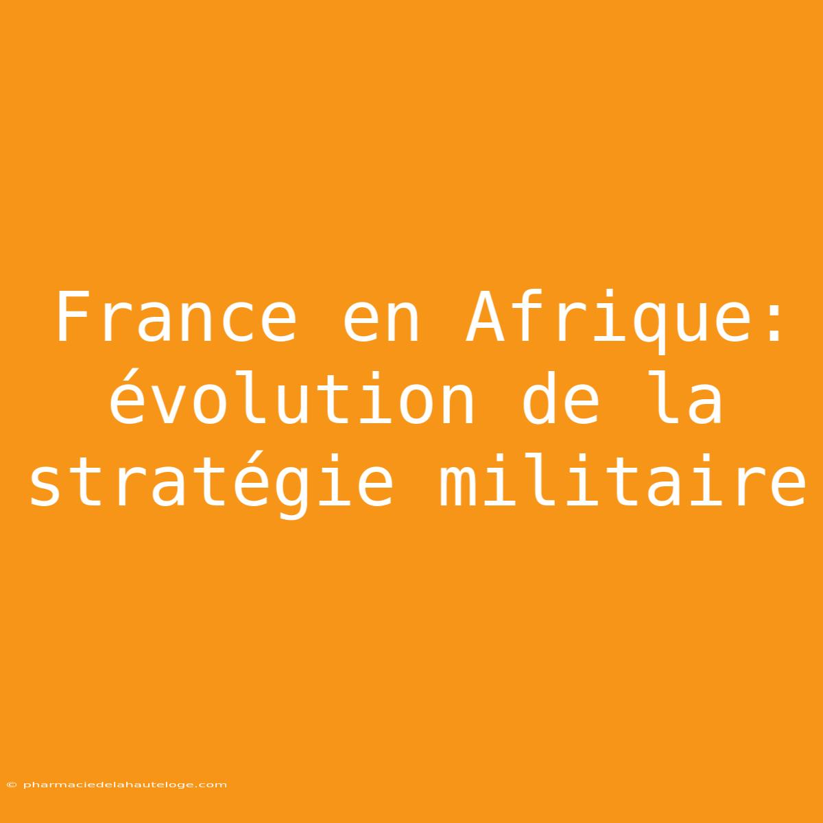 France En Afrique:  Évolution De La Stratégie Militaire