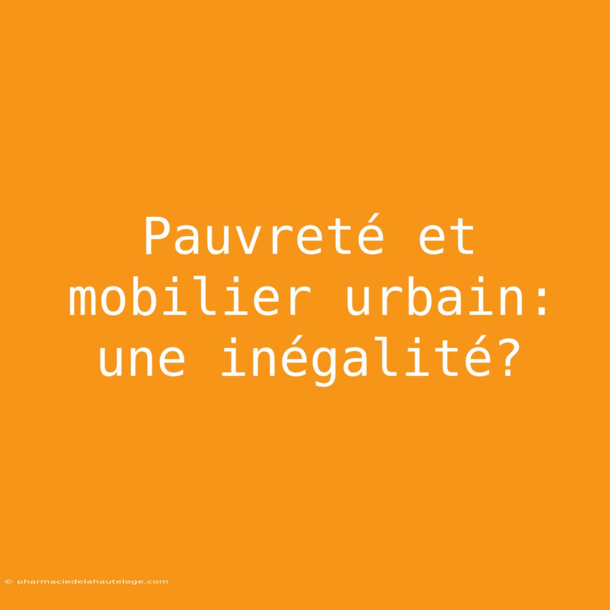 Pauvreté Et Mobilier Urbain: Une Inégalité?