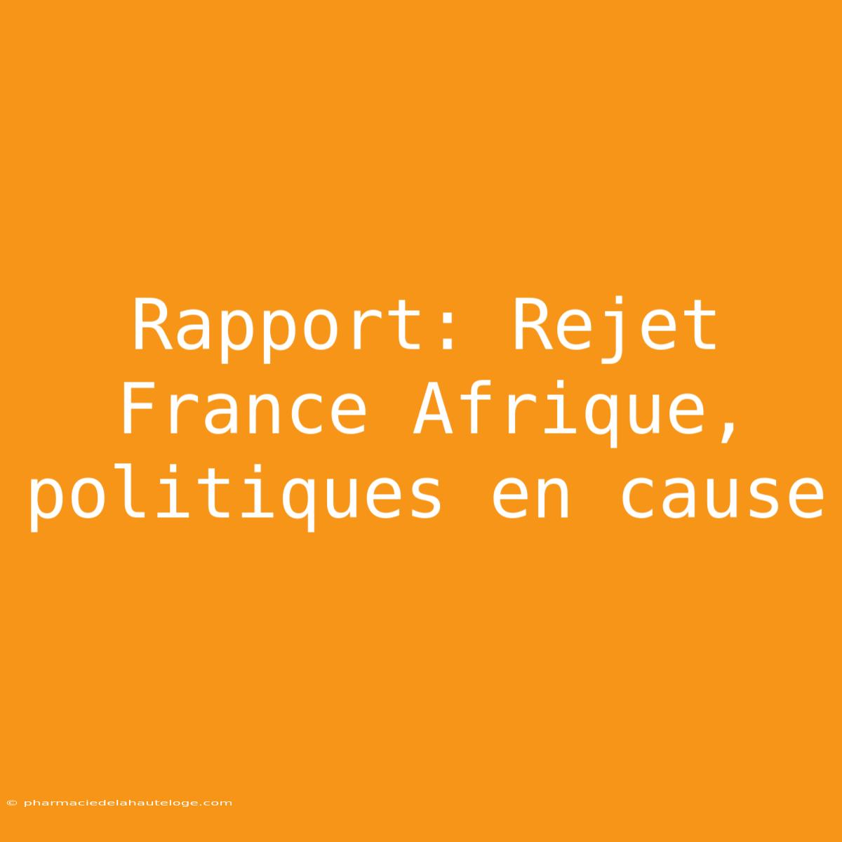 Rapport: Rejet France Afrique, Politiques En Cause