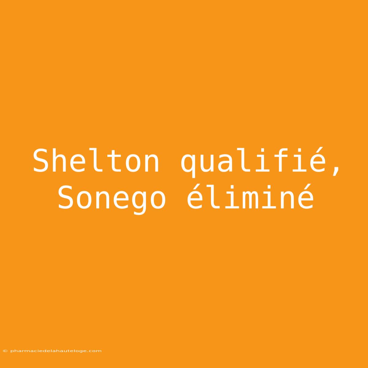 Shelton Qualifié, Sonego Éliminé